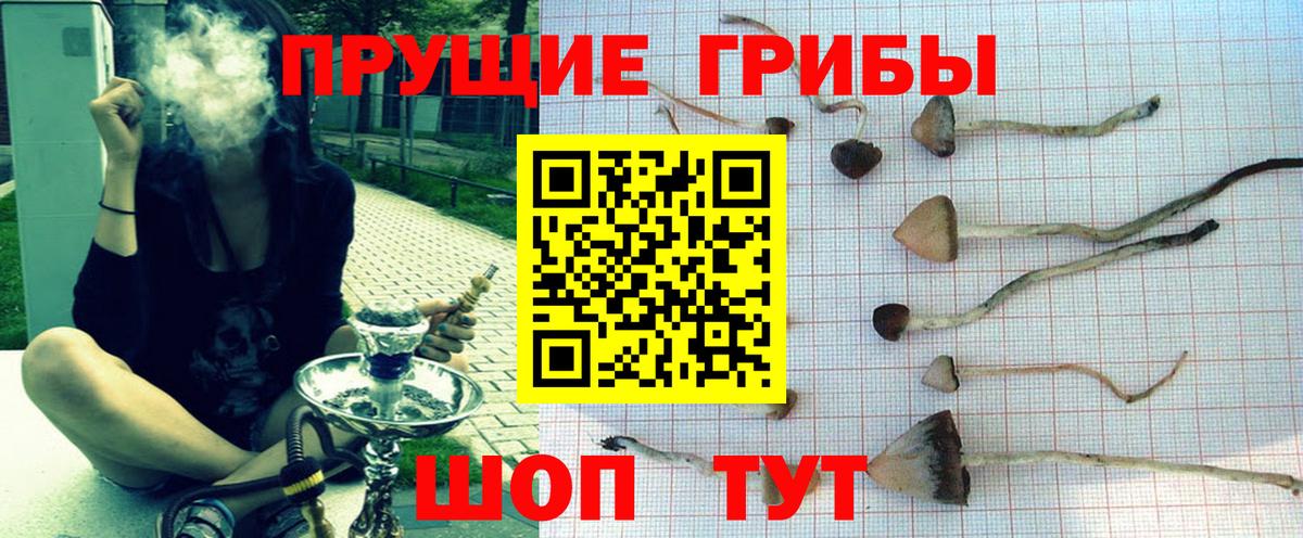 Псилоцибиновые грибы прущие грибы  Вход с VPN  где купить наркоту  Верхняя Салда  Галлюциногенные грибы GOLDEN TEACHER 